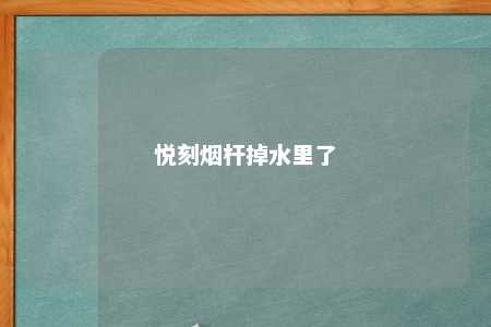 悦刻烟杆掉水里了