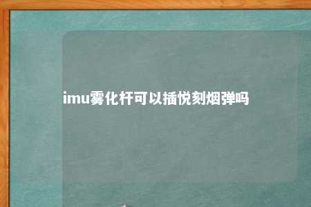 imu雾化杆可以插悦刻烟弹吗