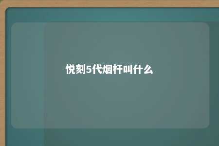 悦刻5代烟杆叫什么