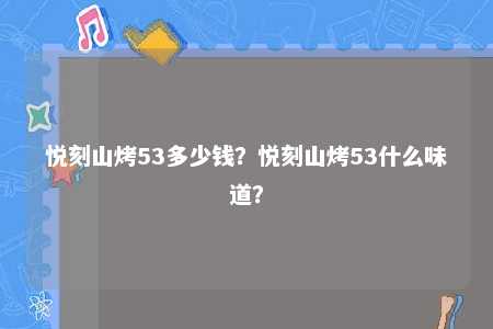 悦刻山烤53多少钱？悦刻山烤53什么味道？